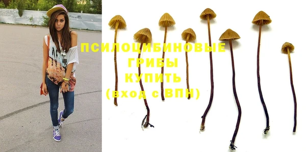 дживик Баксан